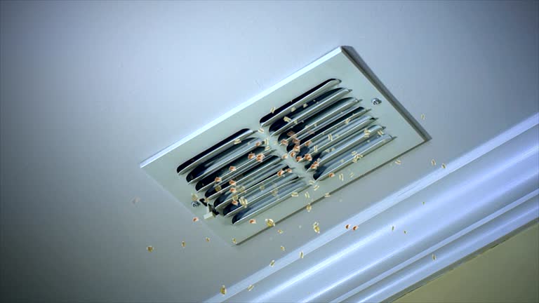 Best Residential Air Duct Cleaning  in Deltana, AK